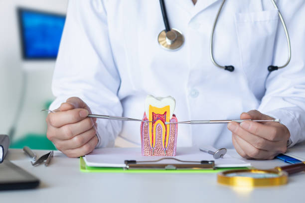Best Emergency Dental Services for Seniors in Wolf Lake, MI